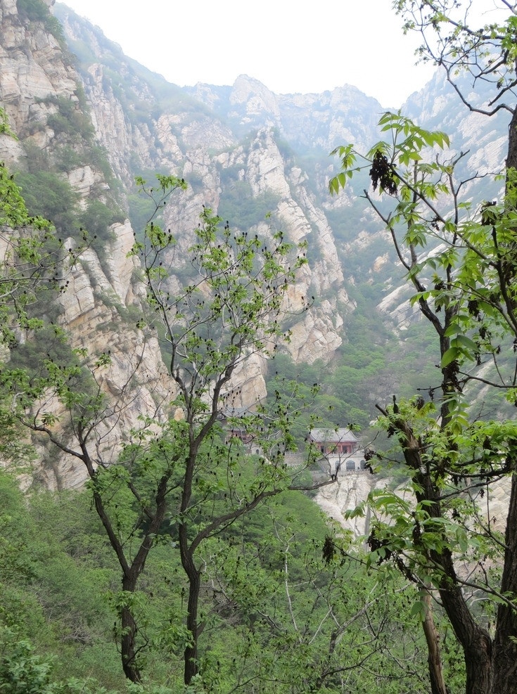 山崖 下 中岳 行宫 登封 太室山 峻极峰 建筑 树林 嵩山风光 风景名胜 自然景观