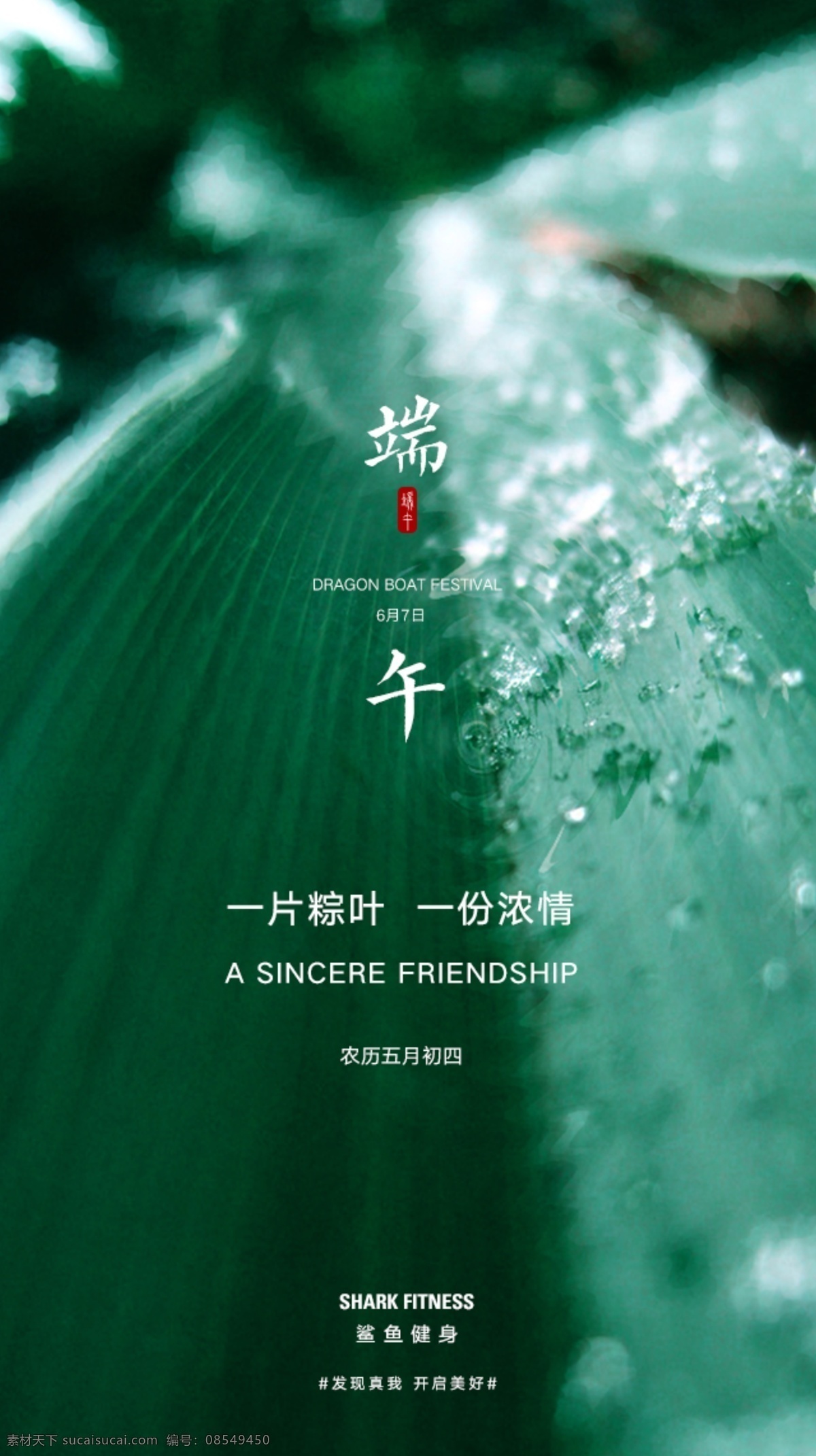 端午节海报 端午 节气 节气海报 健身 运动 鲨鱼健身