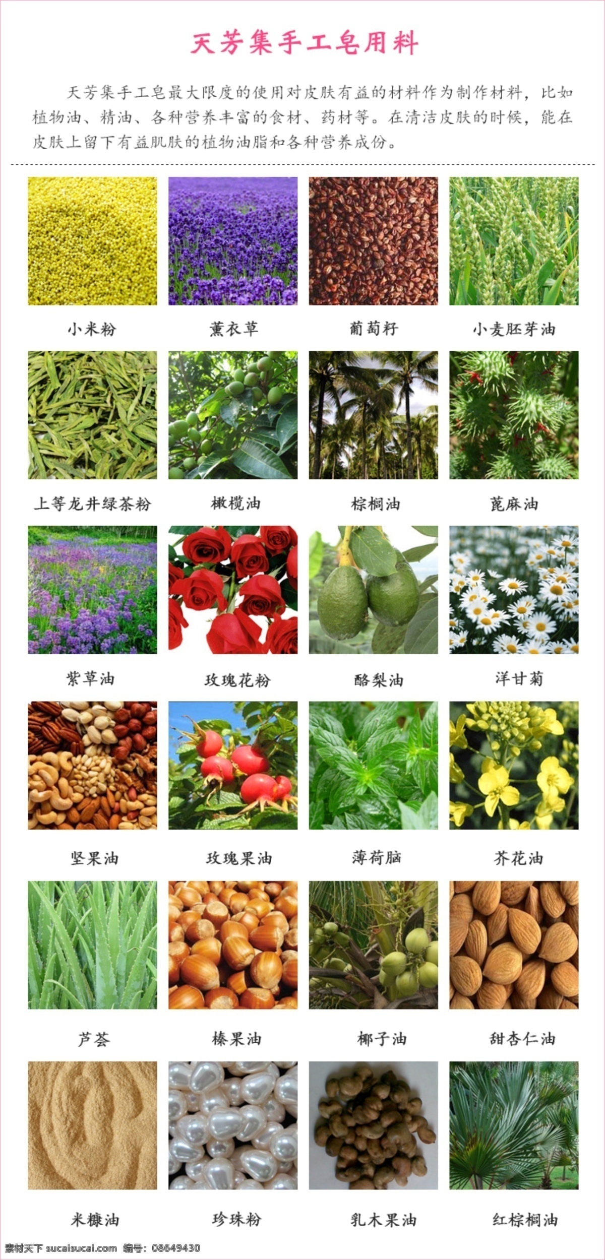 天 芳 集 手工 皂 成分 玫瑰 精油 手工皂 用料 配方 玫瑰精油 棕榈 橄榄 米糠油 玫瑰果 玫瑰花粉 椰子 坚果 天竺葵 化妆品 广告设计模板 源文件