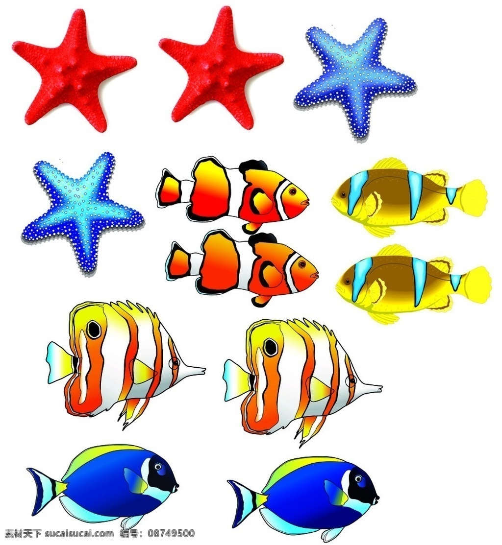 鱼 海星 海底 海鱼 动物 分层 源文件