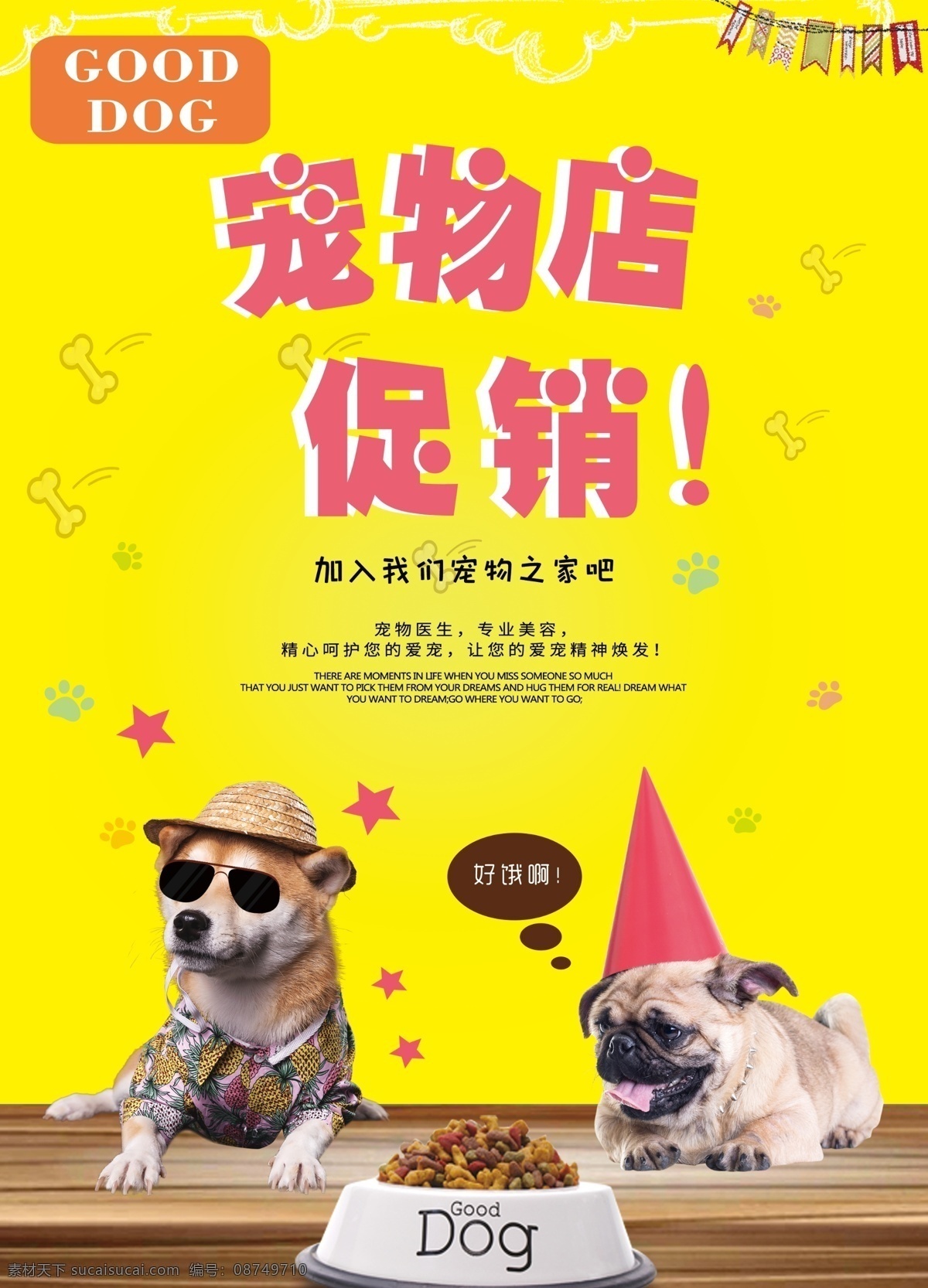 宠物 店 促销 dm 宣传单 宠物店 宠物美容 宠物用品