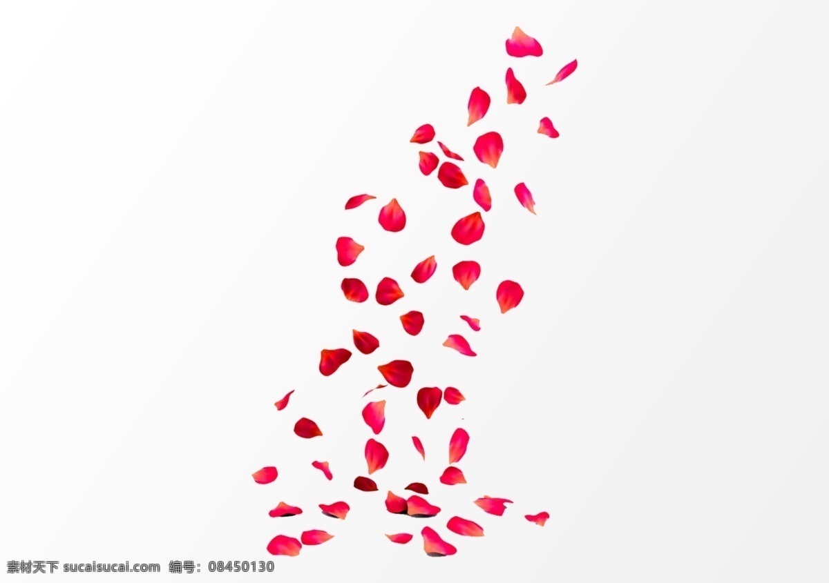 玫瑰花 玫瑰花瓣 花瓣叶 散花瓣