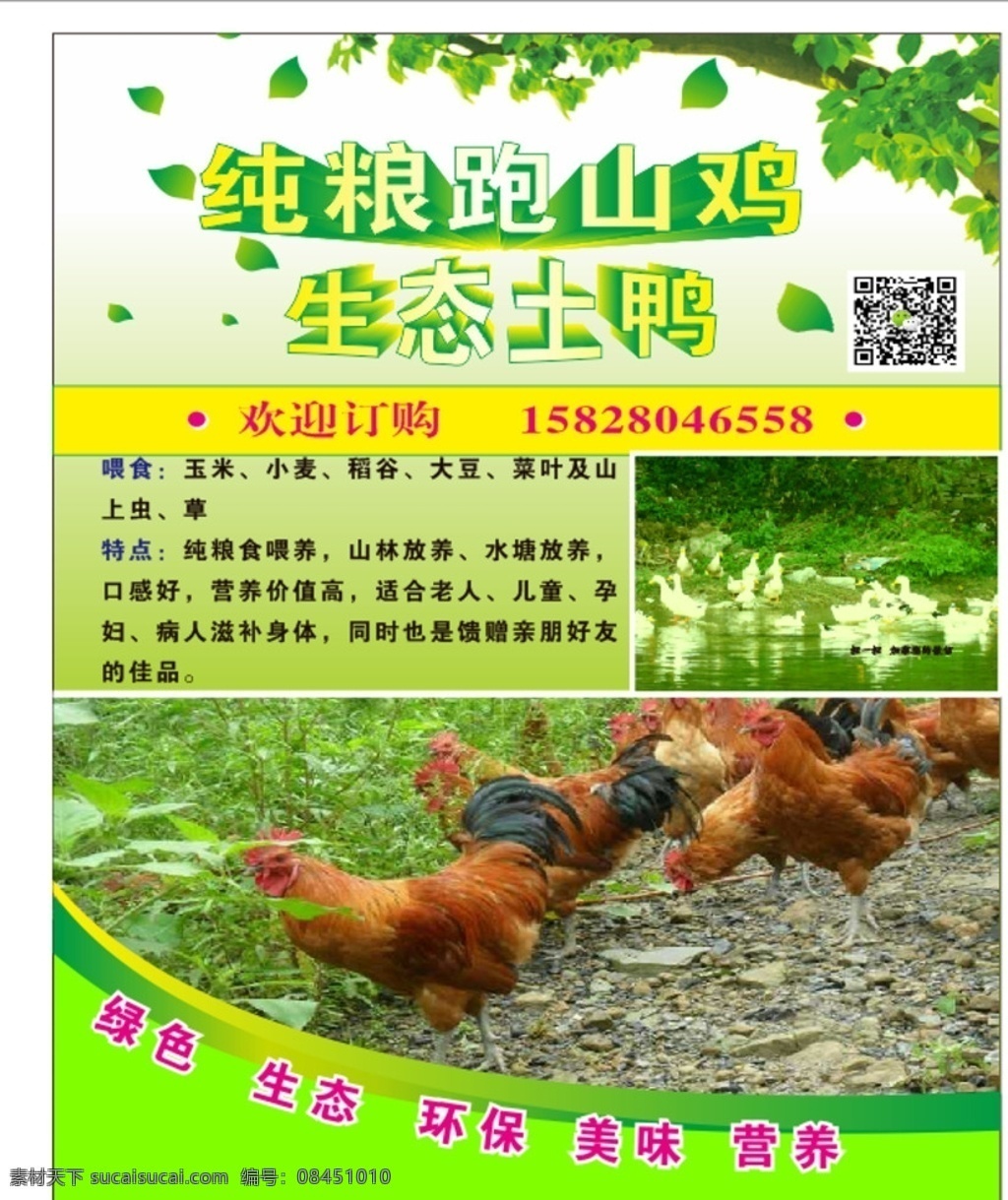 跑山鸡海报 跑山鸡 海报 跑山鸡简介 纯粮 生态鸭