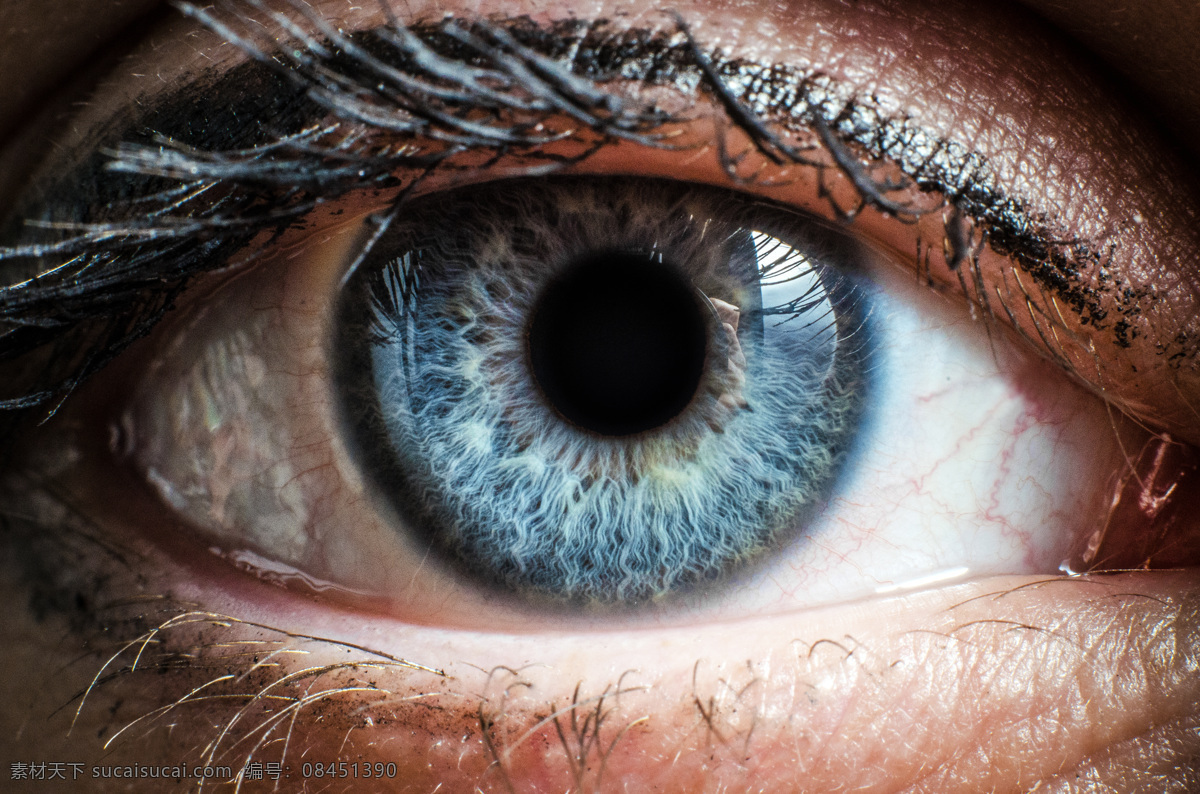 蓝色 眼珠 眼睛 蓝色眼睛 睫毛 眼睛特写 瞳孔 眼球 人体器官图 人物图片