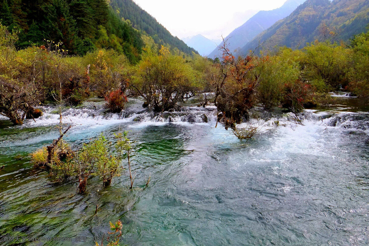 九寨沟盆景滩 九寨沟 盆景滩 清溪 灌木 远山 山水风景 自然景观