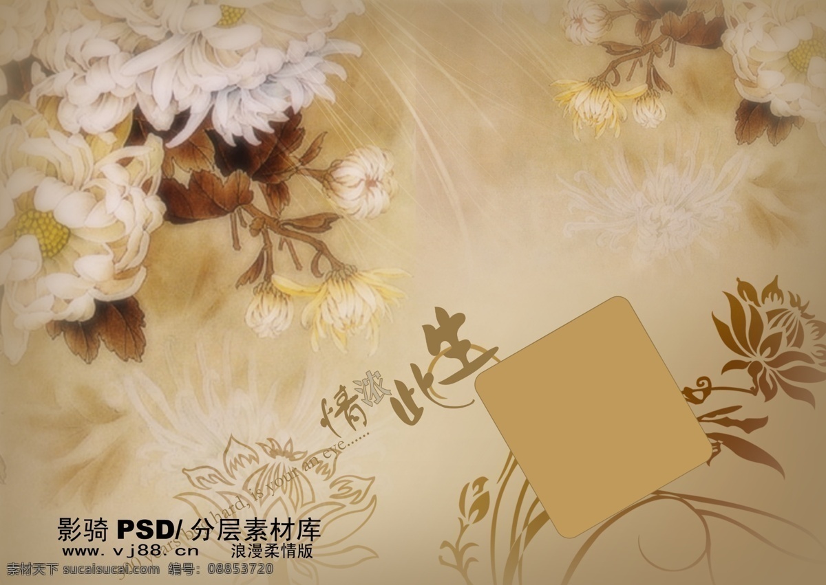 怀旧 怀旧元素 菊花 怀旧色彩 psd源文件