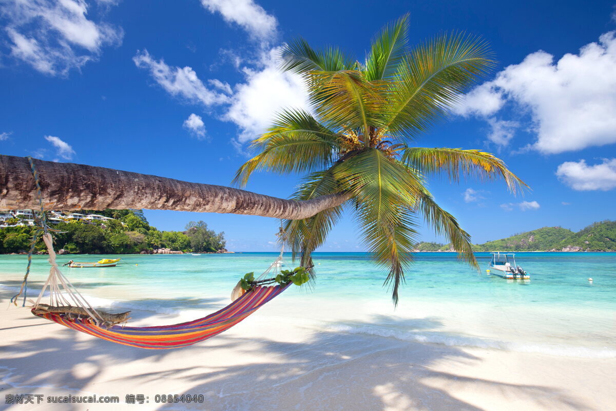 唯美 海边 吊床 风景图片 椰子树 海滩 海岸