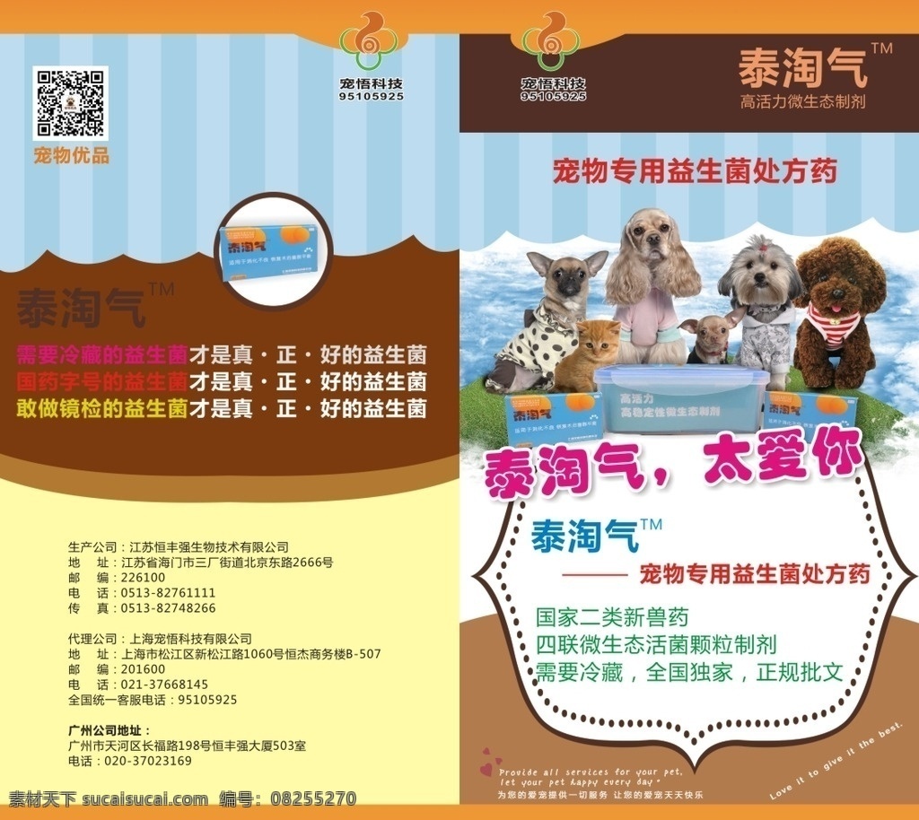 泰 淘气 传单 泰淘气 宠物药传单 dm 泰淘气单页 海报类设计 dm宣传单