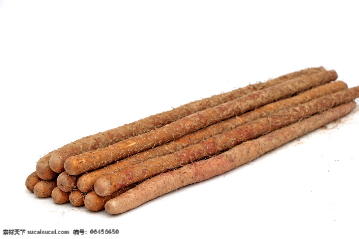 山药 薯蓣 怀山药 土薯 山薯 山芋 蔬菜摄影 生物世界 蔬菜