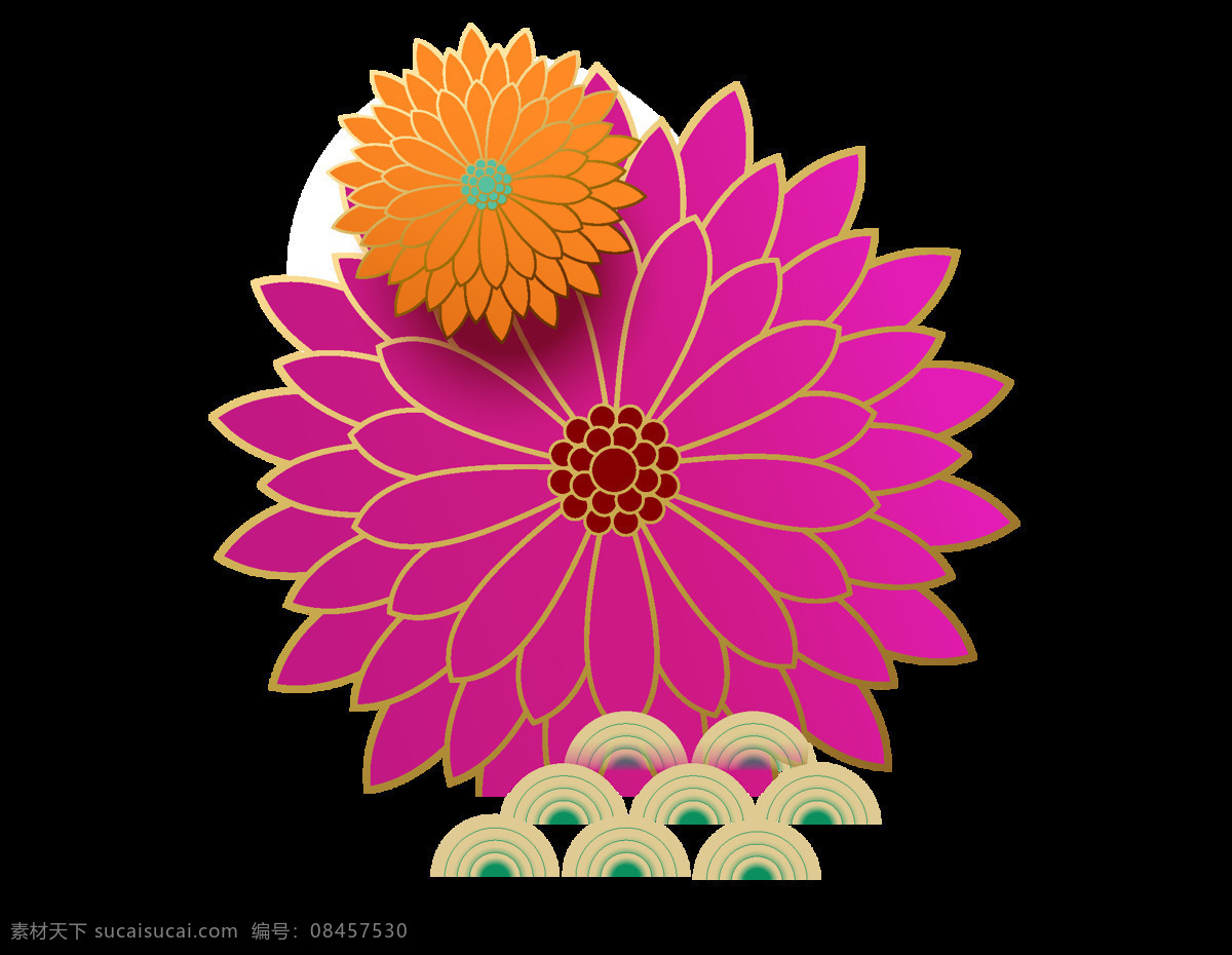 紫色 橘黄 菊花 插画 元素 png元素 花卉 免抠元素 透明元素