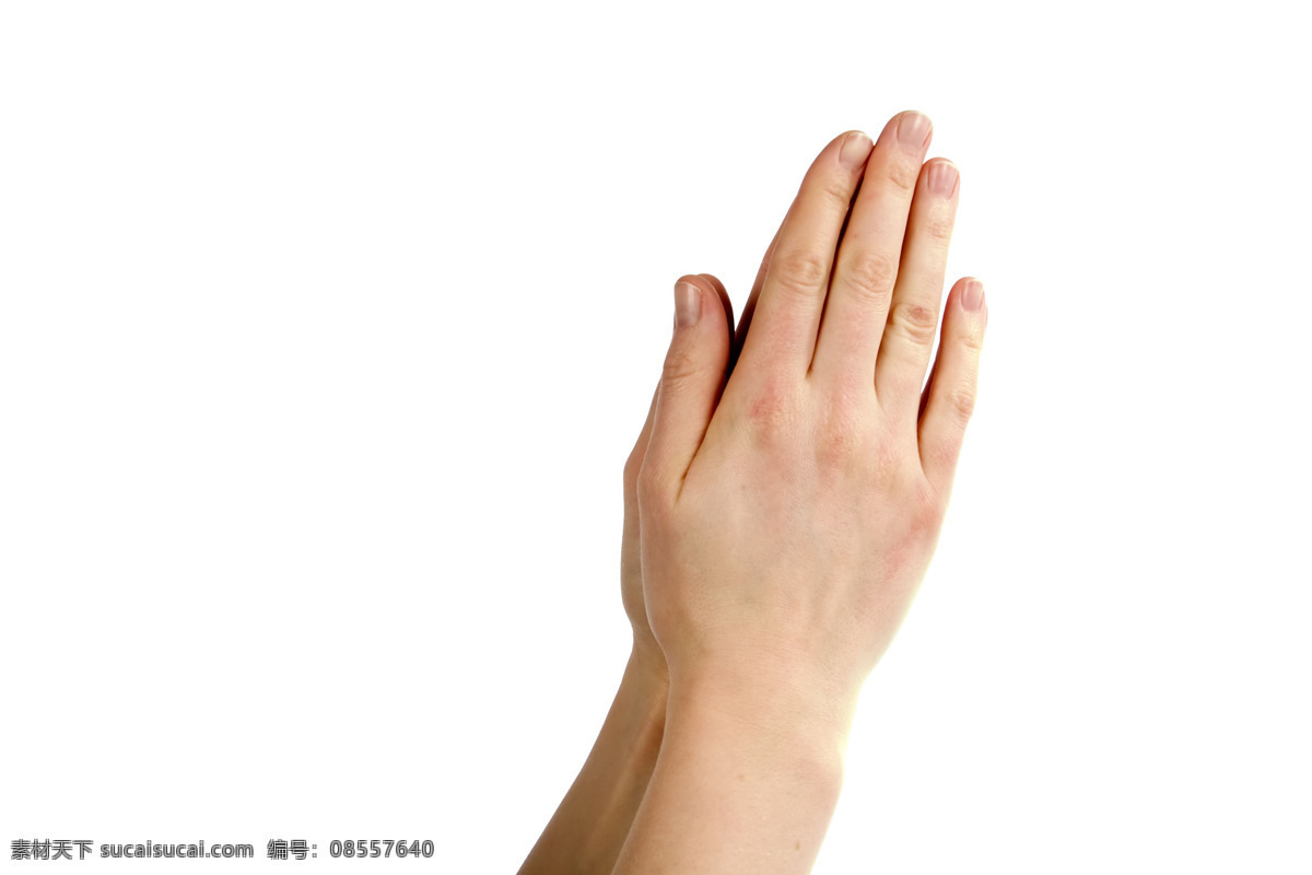 手势图片 手指 喻 意 手势 手指喻意 人体器官图 人物图片