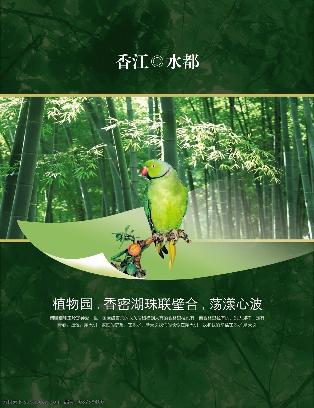 中国 风 竹林 风景 绿色 文艺 宣传海报 中国风 竹林风景