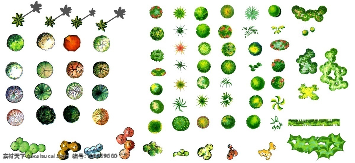 彩色平面图 彩色 平面图 分层 植物素材 绿色植物 手绘素材 源文件