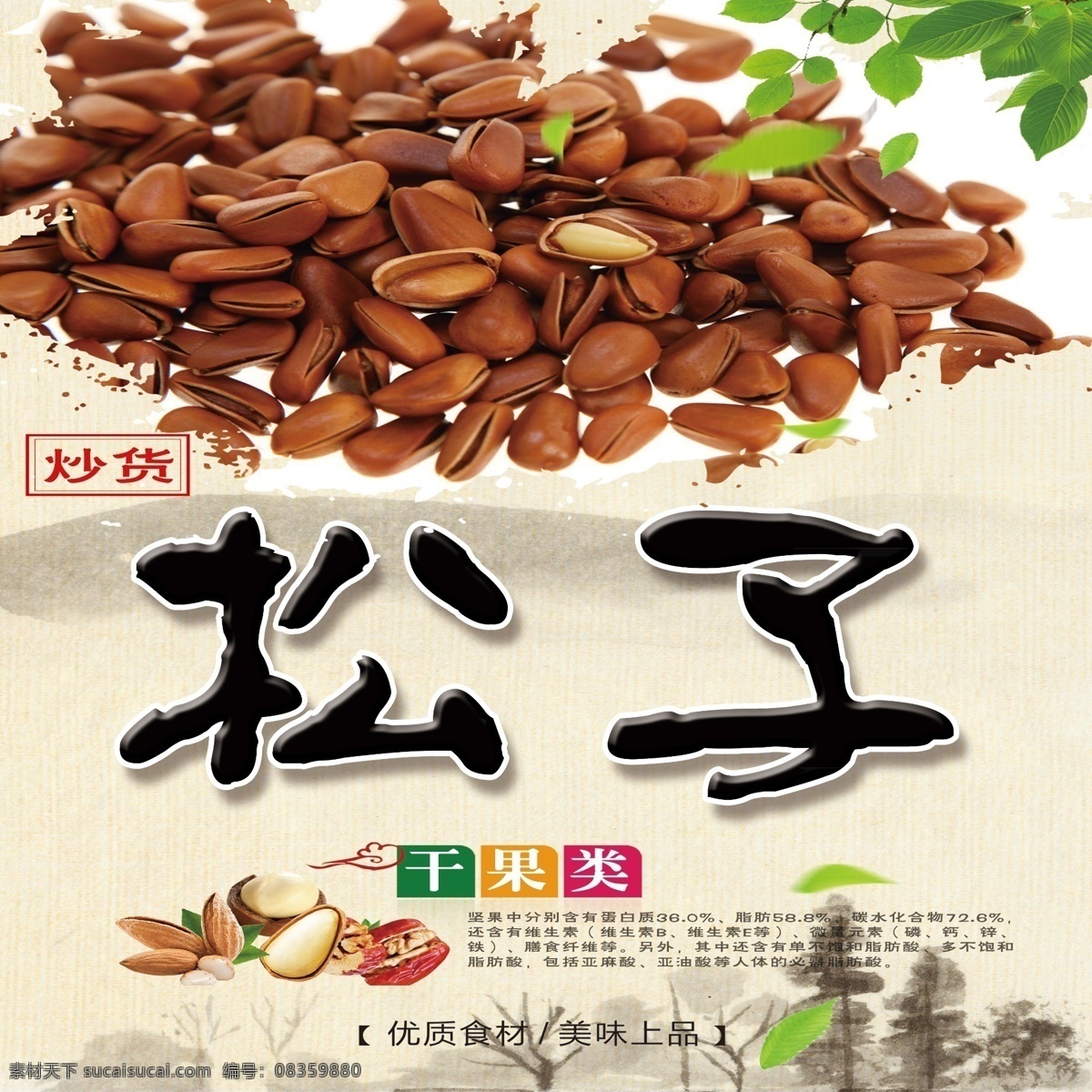 松子介绍 松子图片 干果 松子图
