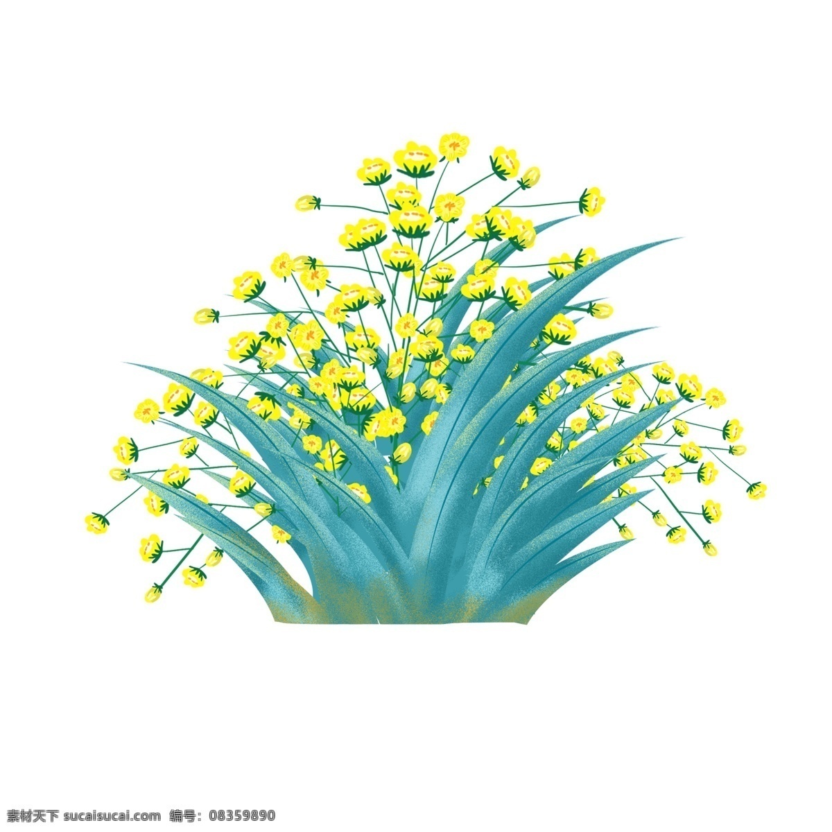春天 油菜花 元素 油菜花设计 油菜花元素 相关