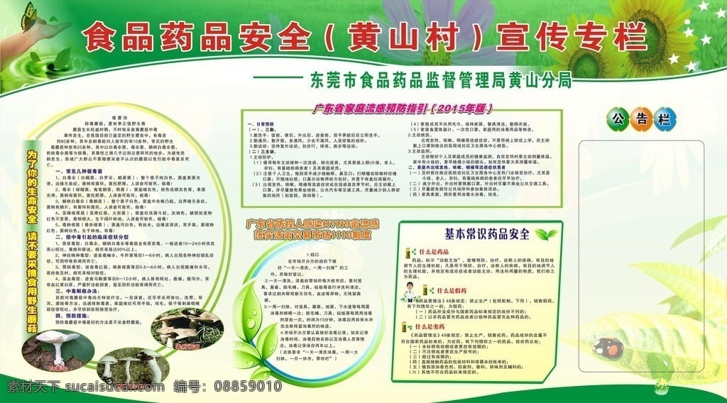 健康食品 食品药品 宣传栏 食品宣传栏 展板 食品安全知识 食品 药品 安全知识 抗生素 保健品安全 海报 广告
