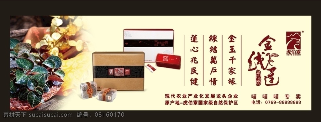 金线莲药理 中国风 养生展板 金线莲资料 草本养生 养生之道 福建金线莲 虎伯寮 虎伯寮金线莲 名贵草本 草本 草药 纯天然金线莲 金线莲广告 金线莲展板 金线莲名片 金线莲海报 金线莲包装 金线莲种植 金线莲礼盒 金线兰 金草 中草药 中医养生 金钱草 金丝草 金线莲茶叶 茶品 野生金线莲 招贴海报