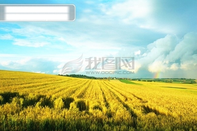 景色 自然景色 收割 麦田 日落 日出 黄色
