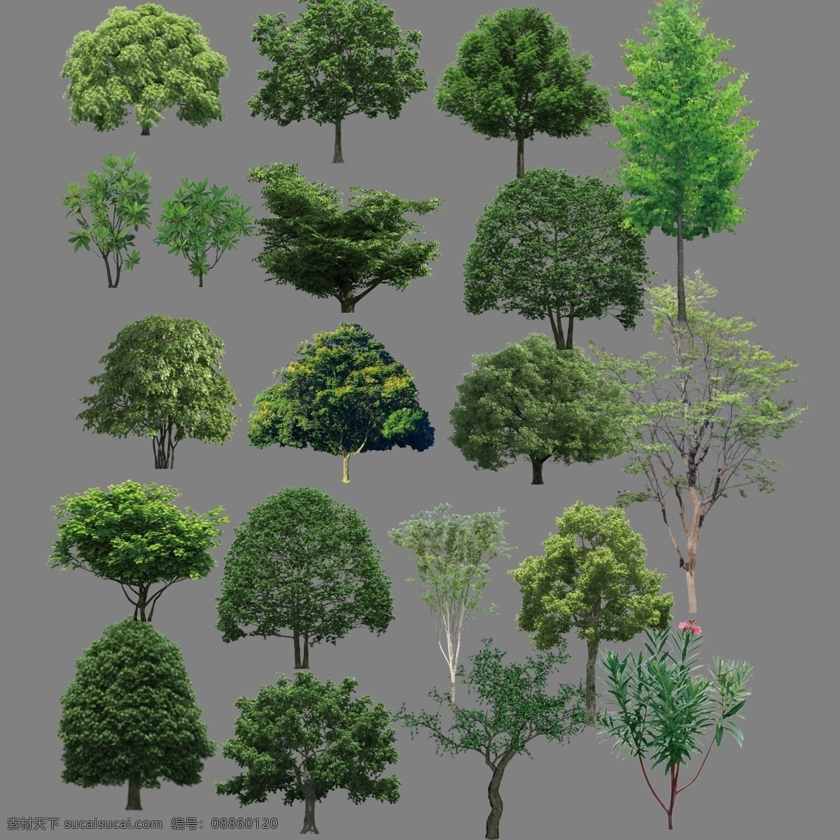 树木 树 树木素材 大树 分层素材 绿树 植物 园林树木 园林绿化 绿化素材 分层