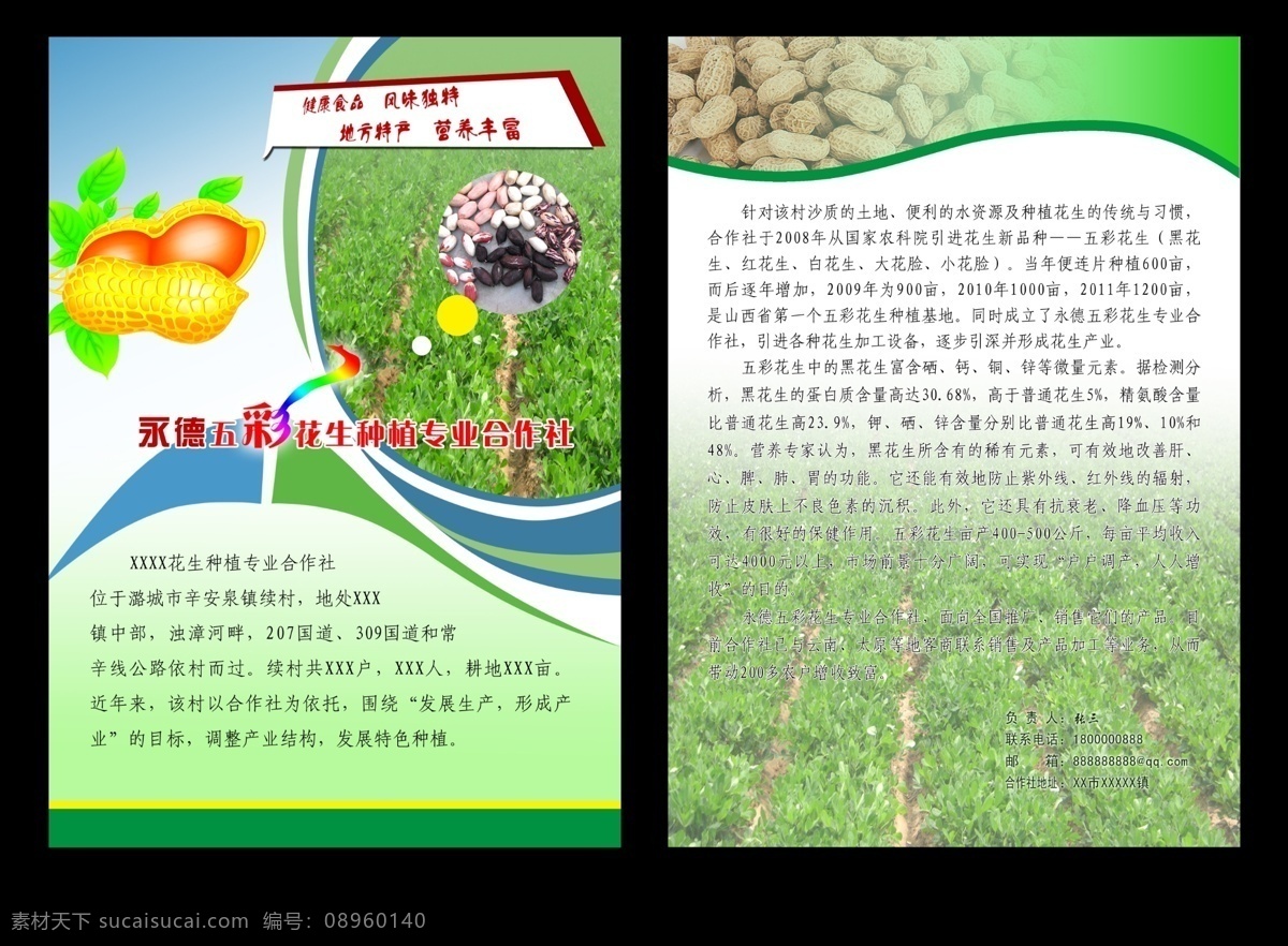 dm宣传单 包装 彩页设计 广告设计模板 健康 绿色 农业彩页 食品 花生彩页 五彩花生 卡通花生 花生宣传页 五谷杂粮 花生地 源文件 海报 宣传海报 宣传单 彩页 dm