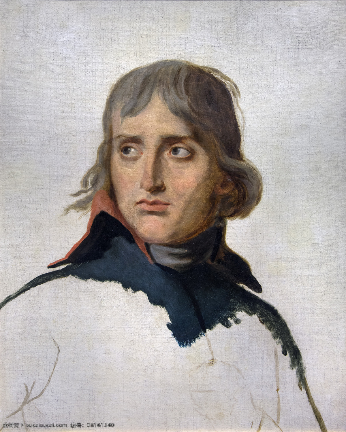 油画 拿破仑 法国绘画 人物肖像 人物油画 油画人物 绘画 法国油画 文化艺术 绘画书法 西方绘画