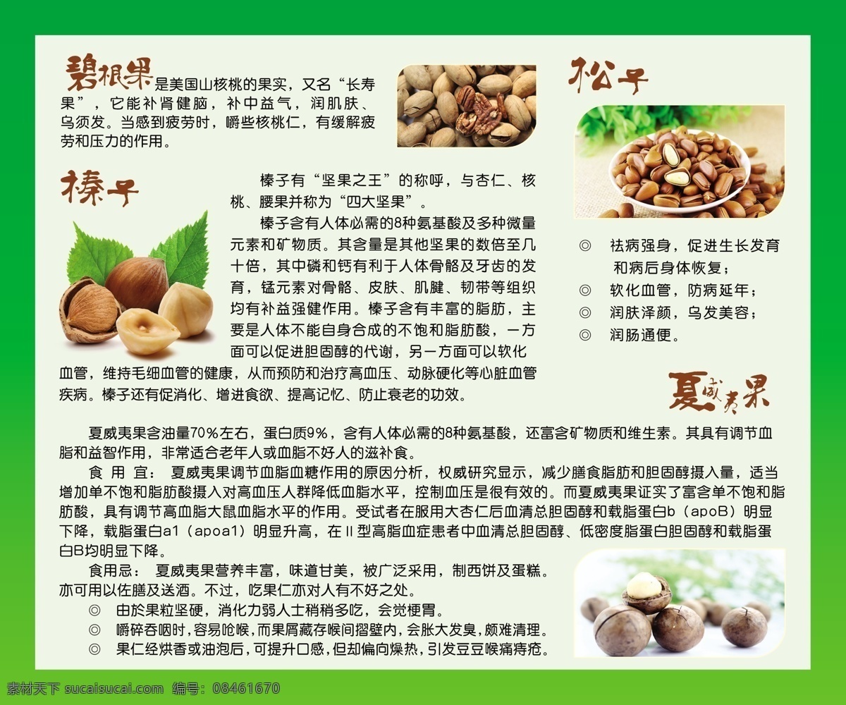 干果图片 坚果 干果 干果展板 坚果店 干果挂图 干果坚果 干果花生 干果红枣 干果枸杞 干果松子 干果开心果 干果桂圆 坚货核桃 超市坚果 南北干果 超市 超市展板 天猫坚果 淘宝干果 网上干果 干果促销 坚果素材 坚果店挂画 坚果海报 干果挂墙 坚果批发 坚果特产 坚果土特产 特产 干果宣传单