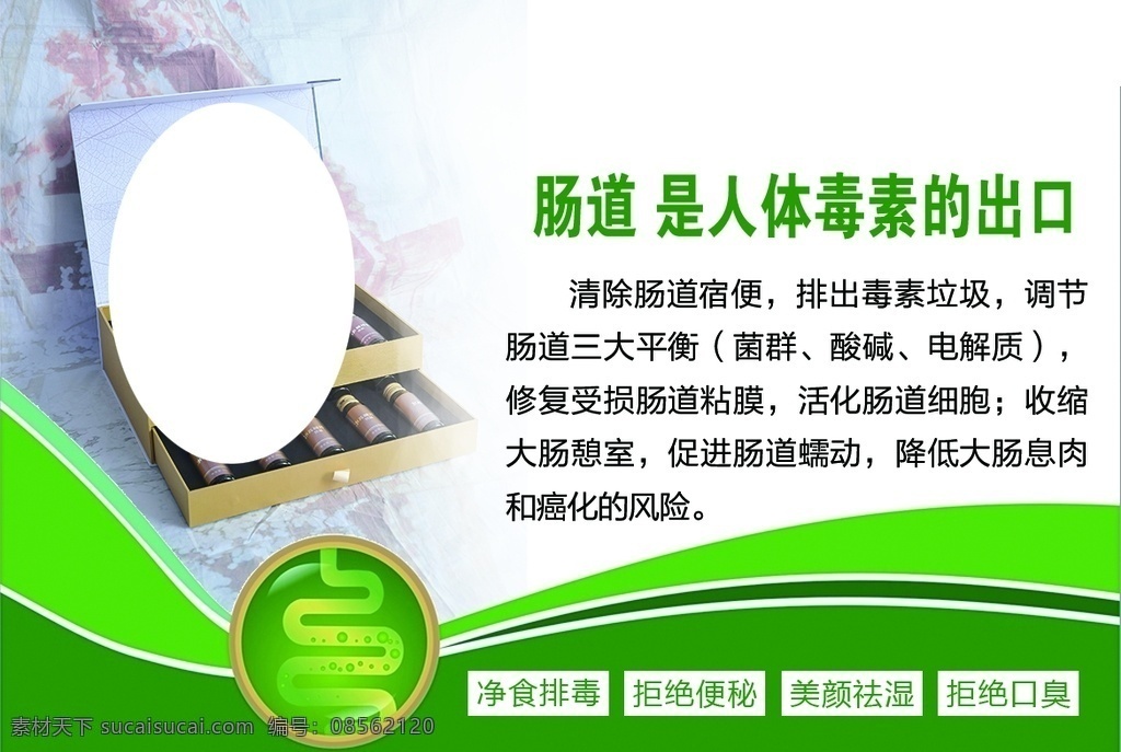 肠道排毒 肠道 排毒 养护 健康 减肥 养生 毒素 垃圾