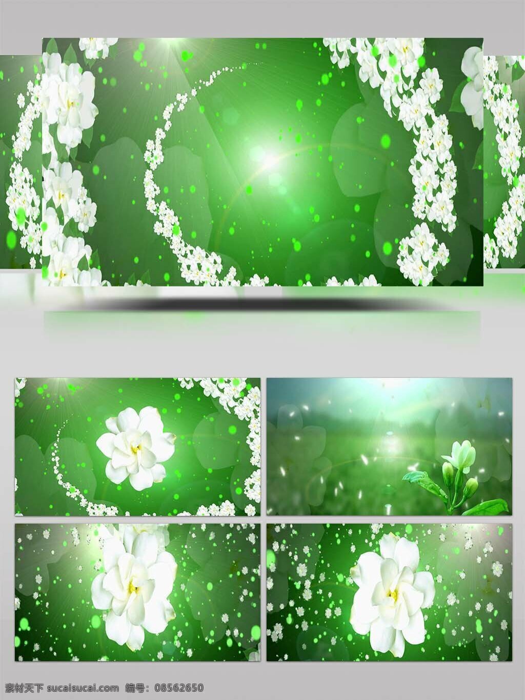 高清 动态 茉莉花 晚会 背景 视频 春节 歌曲背景 好一朵茉莉花 蓝天白云 绿色田野 茉莉芬芳 茉莉花背景 茉莉花开 年会晚会背景 雨中 雨中花 雨中浪漫 雨中漫步