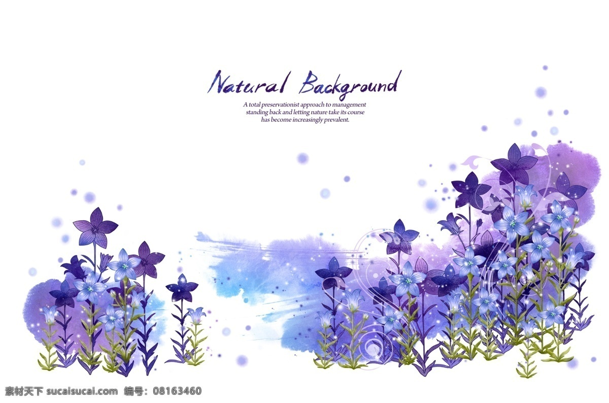 花纹背景 花 背景 花边框 花底色 花背景 背景底纹 底纹边框 花边花纹