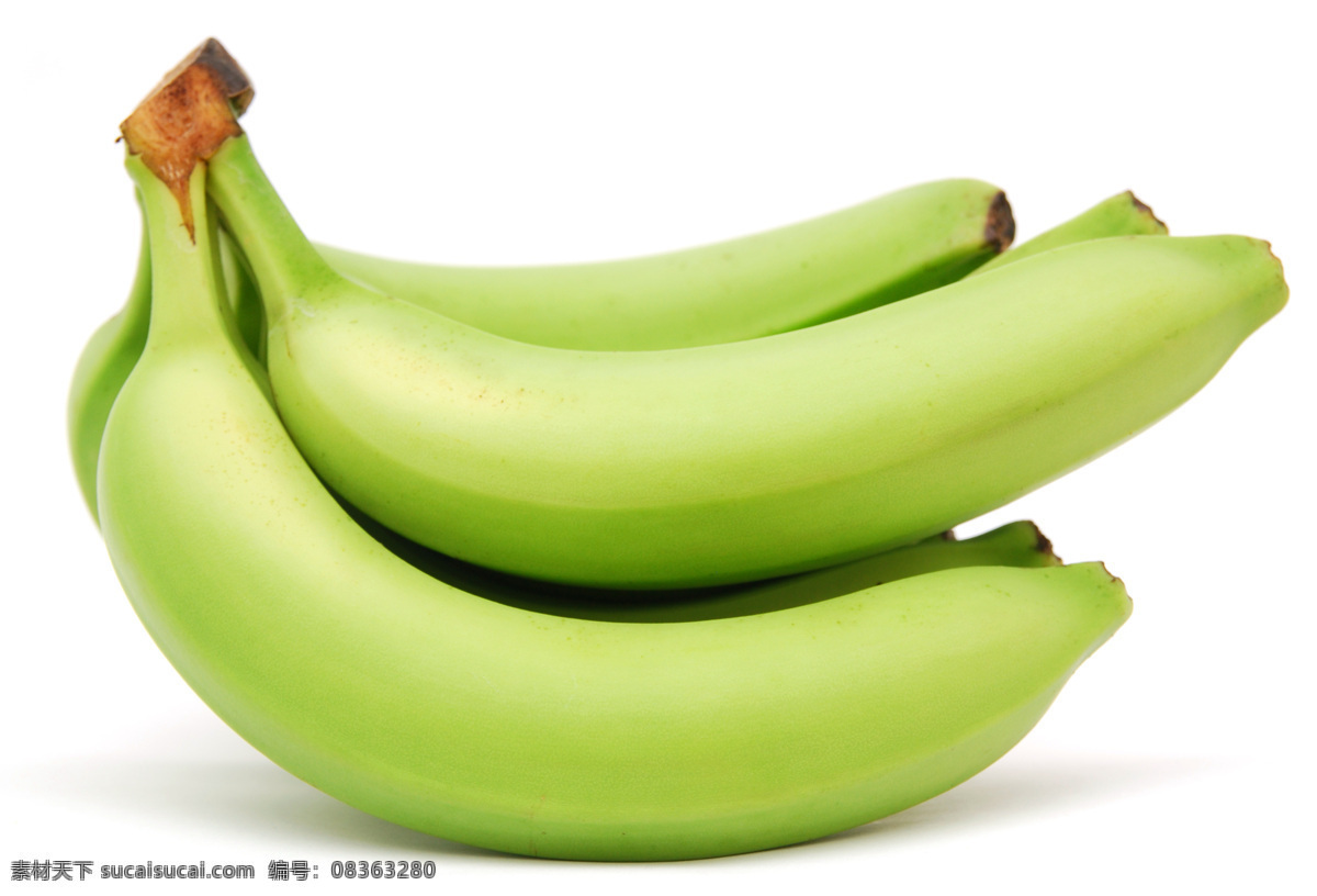 香蕉 水果 香蕉树 生香蕉 新鲜香蕉 热带水果 生物世界