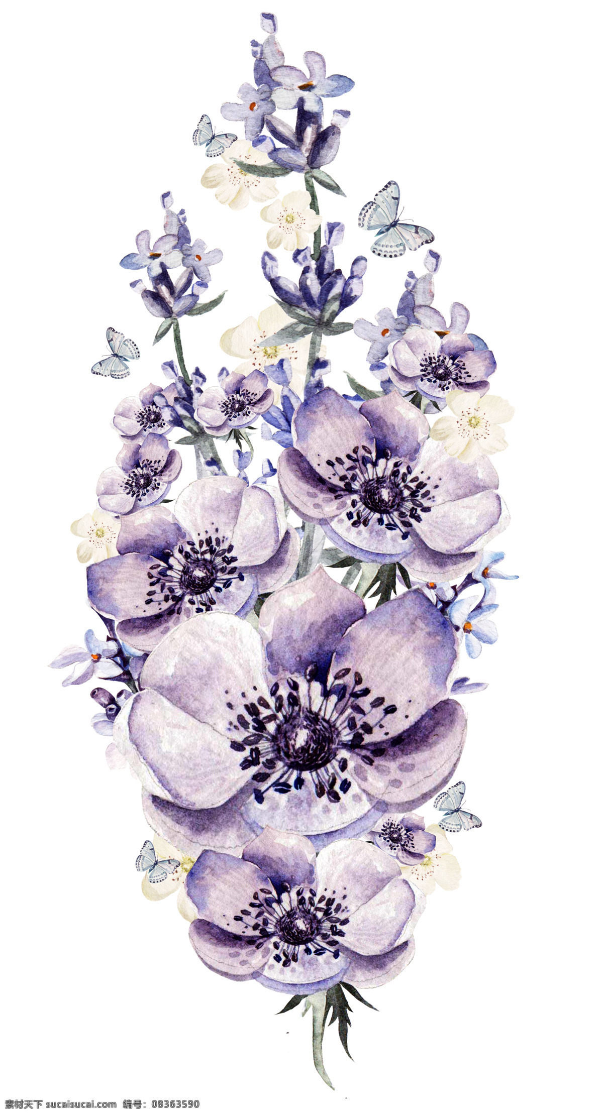 美丽 花朵 紫色 高清图片 淡雅 绚丽 红色