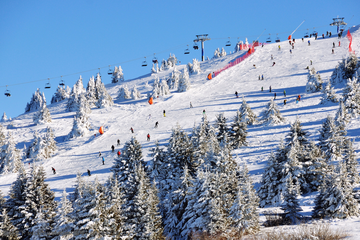 滑雪 公园 风景 滑雪场风景 雪山风景 滑雪公园风景 雪地风景 美丽雪景 滑雪图片 生活百科