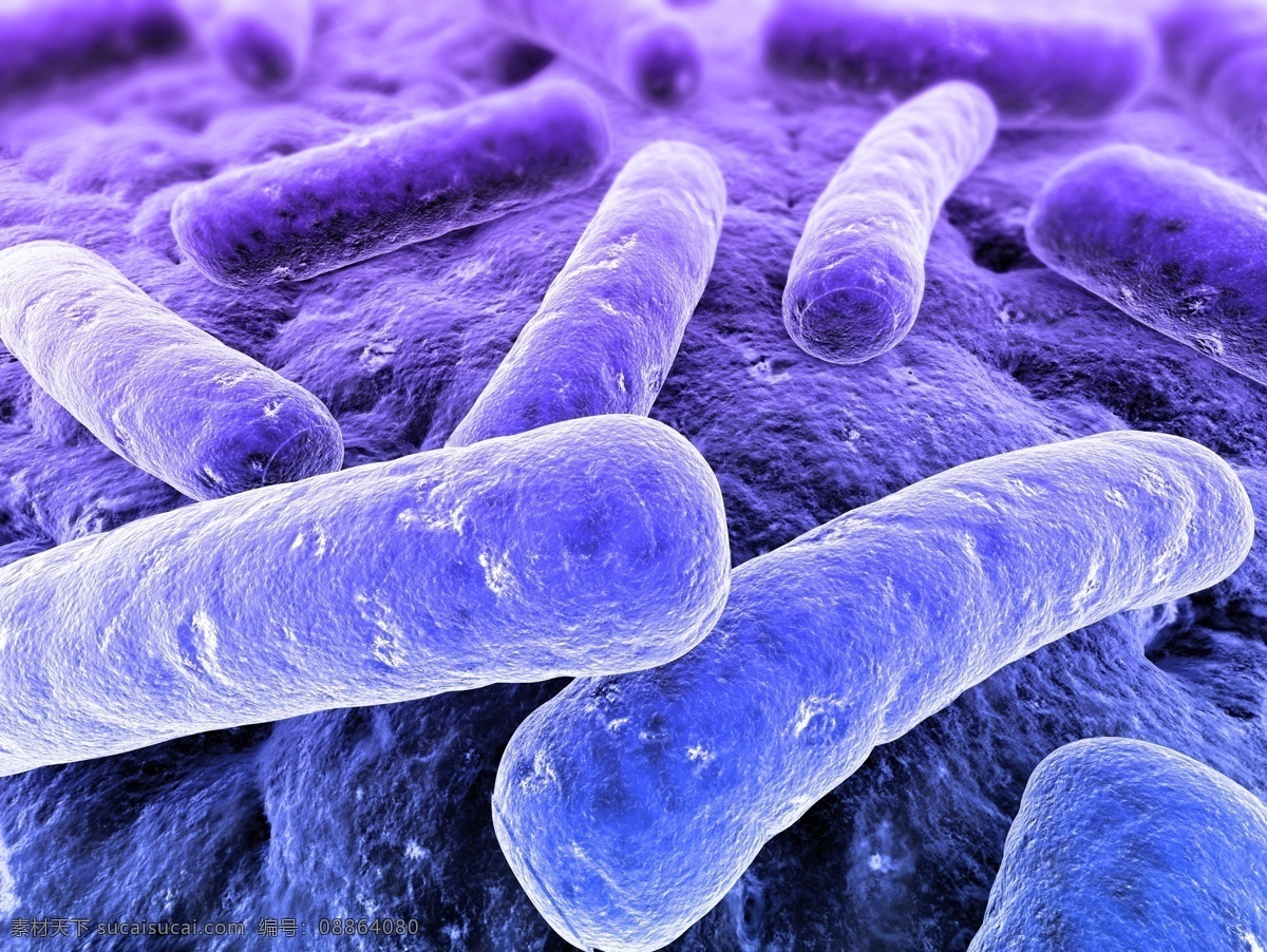 紫色 细菌 超级病菌 细胞 身体细胞 生物 医疗护理 现代科技