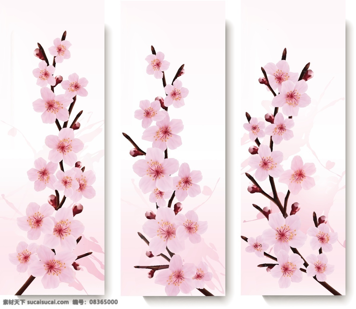 桃花装饰画 桃花 桃枝 樱花 花朵 花儿 春天 春暖花开 桃树枝 三里桃花 矢量桃花 手绘桃花 各类素材