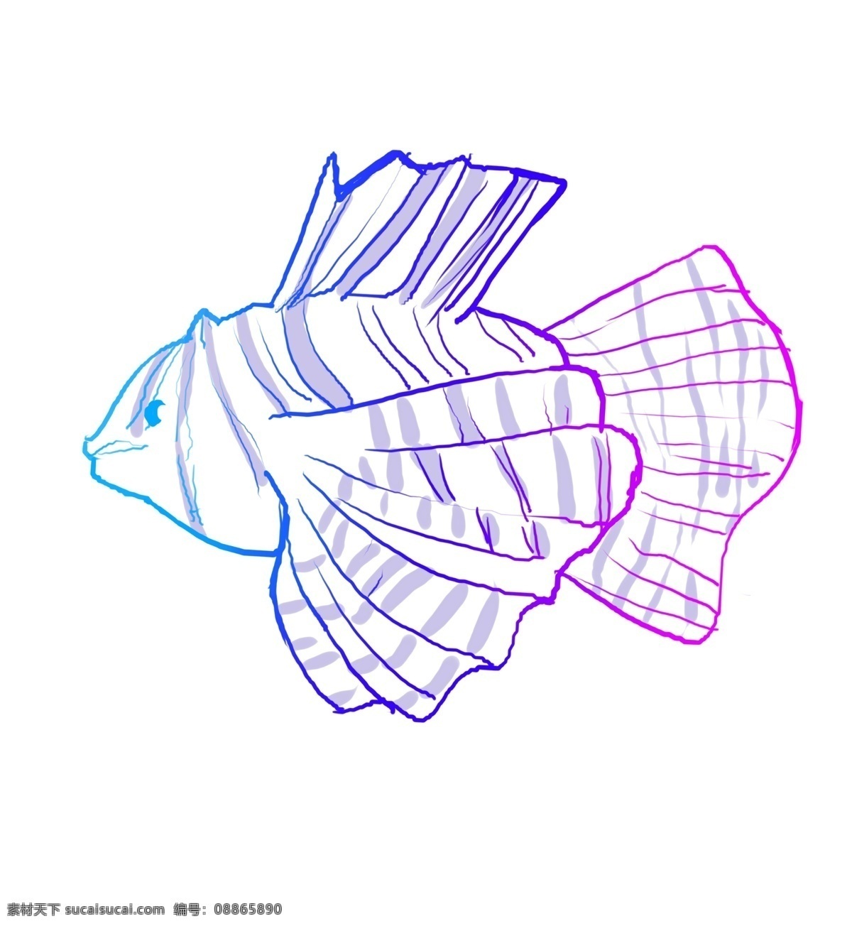 蓝色线描小鱼 动物 海洋生物