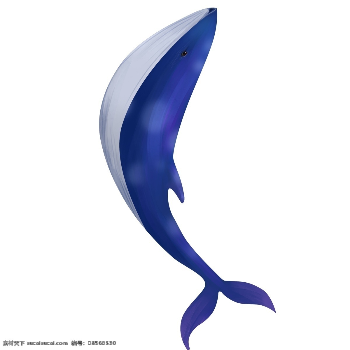 蓝色 海洋 鲸鱼 插画 动物 卡通 彩色 小清新 创意 手绘 绘画元素 现代 简约 装饰 图案