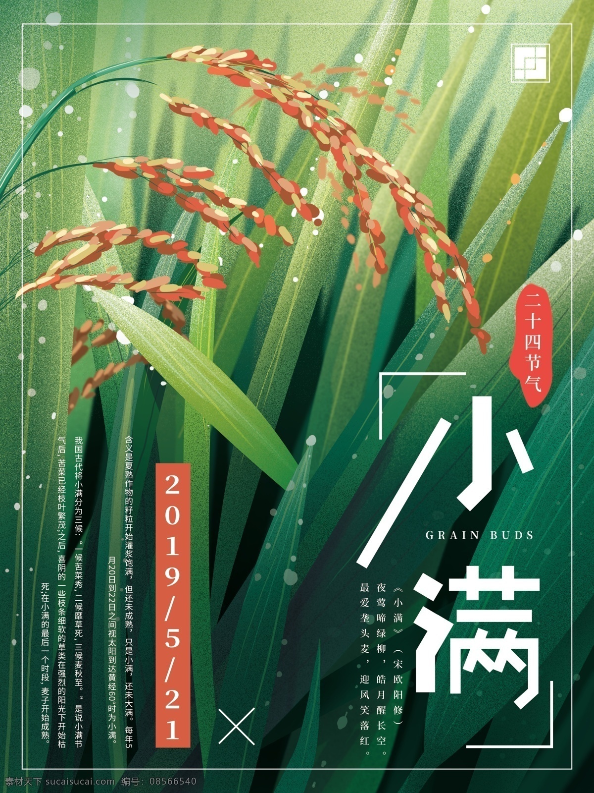 原创 手绘 小满 节气 海报 麦子 自然