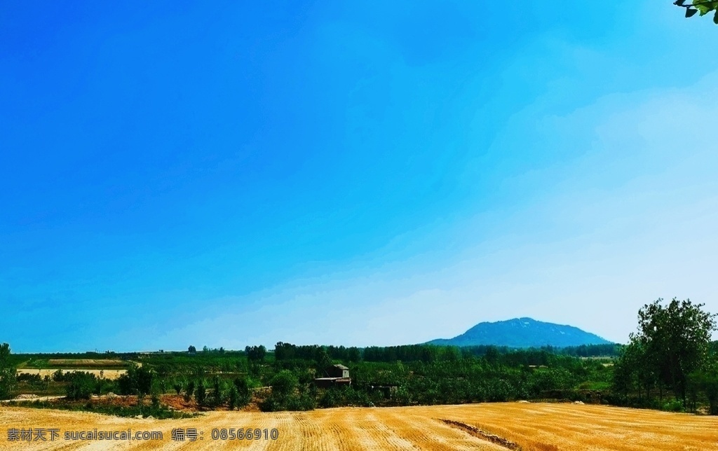 麦田摄影风景 风景 蓝天 小麦 麦田 自然景观 自然风景