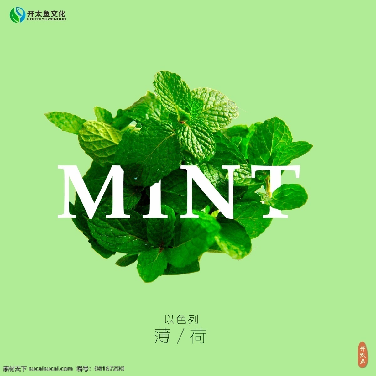 绿色 薄荷 蔬菜 创意 主图 简约