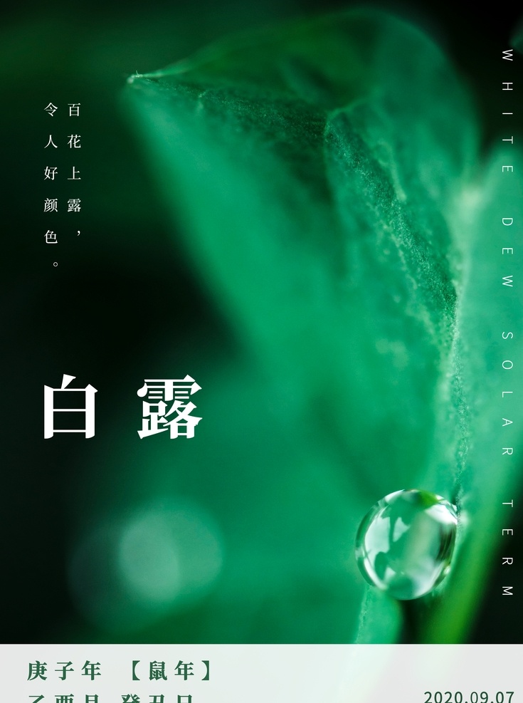 白露海报图片 白露海报 地产 白露地产 龙小湖 绿色 山水 芦苇 热带雨林 白露微信 白露节气 节气海报 白露 秋分 转发图 立秋 夏至 小暑 大暑 刷屏稿 唯美 复古 微信稿 飞机稿 二十四节气 高大上 古色 古香 古韵 秋色 秋韵 房地产 样板房 园林 夜空 夏夜 手绘 油画