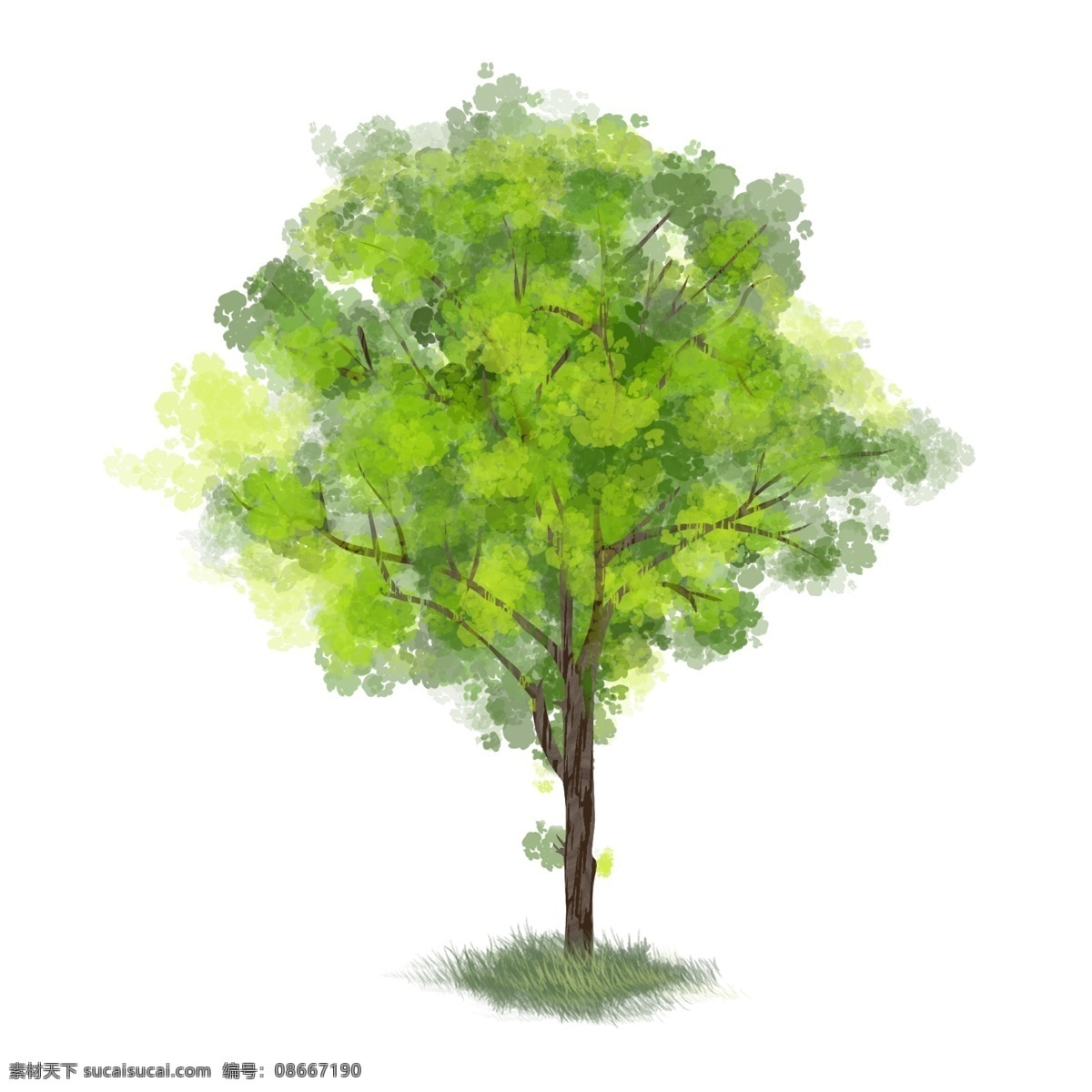绿树 青草 手绘 风 图 商用 树枝 绿色 叶子 树叶 小草 褐色 枝丫