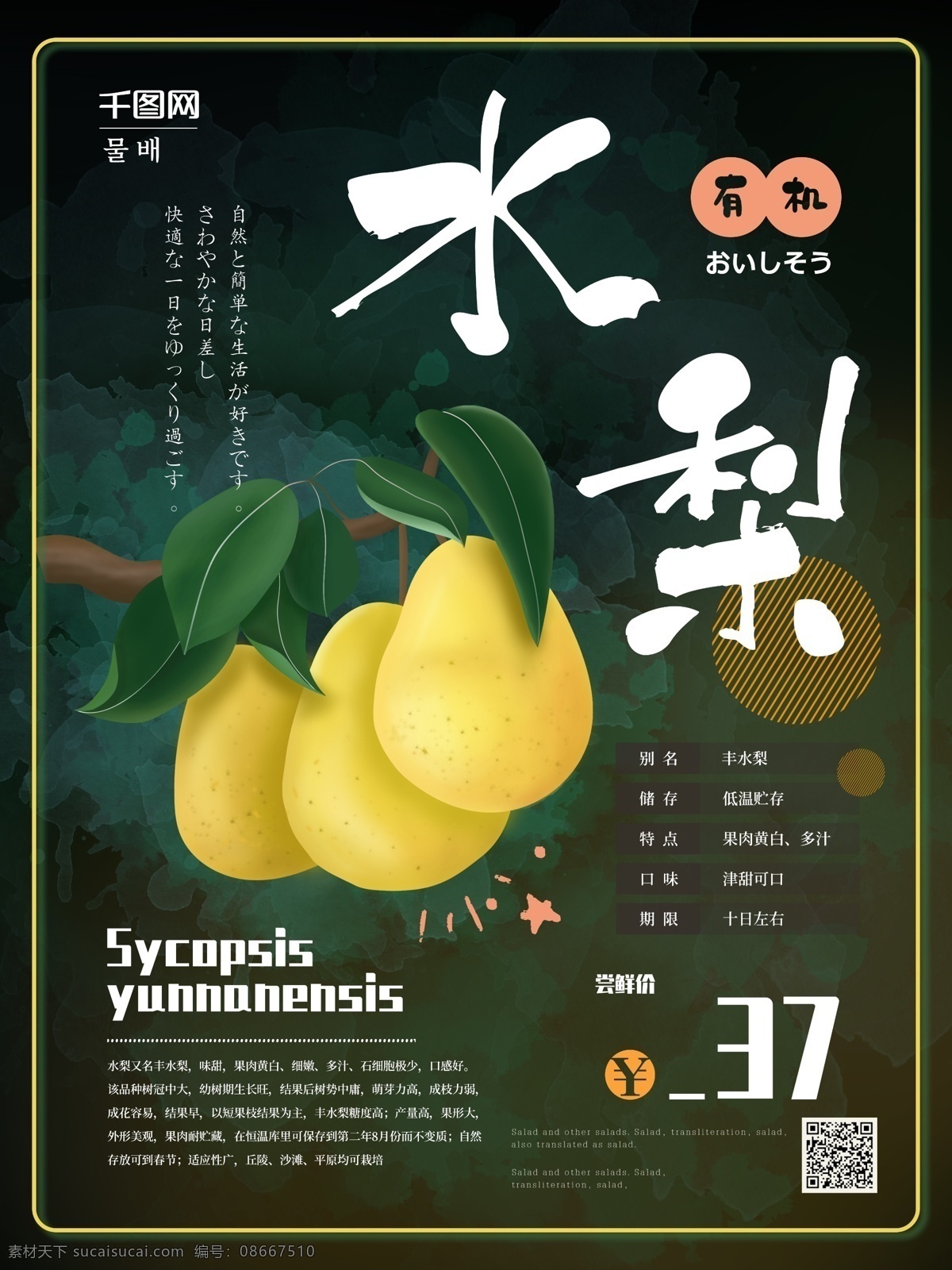 简约 水 梨 水果 促销 海报 梨子 水果海报 促销海报 水梨