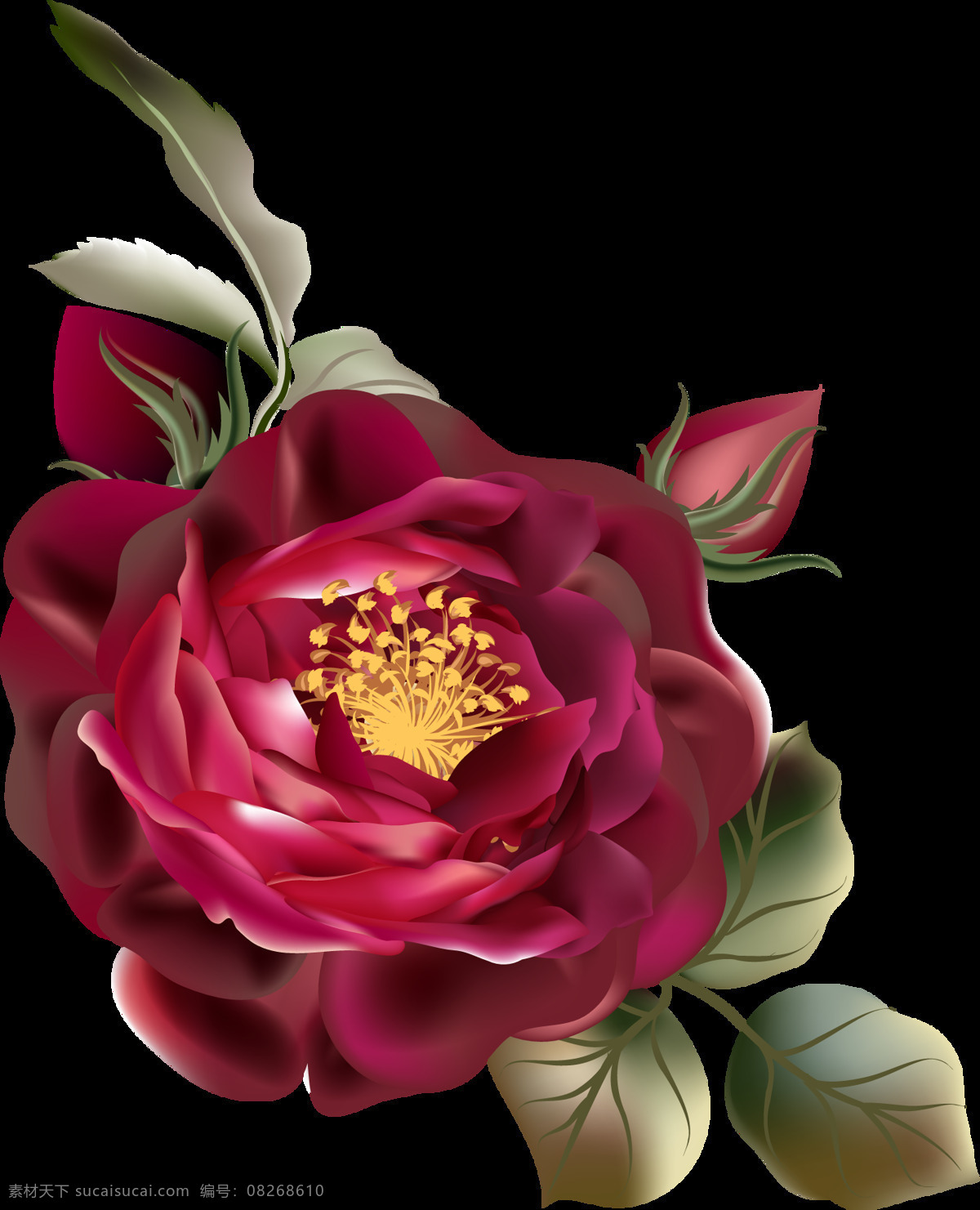 玫 红 花蕊 透明 装饰 红色 花朵 免扣素材 透明素材 装饰图案