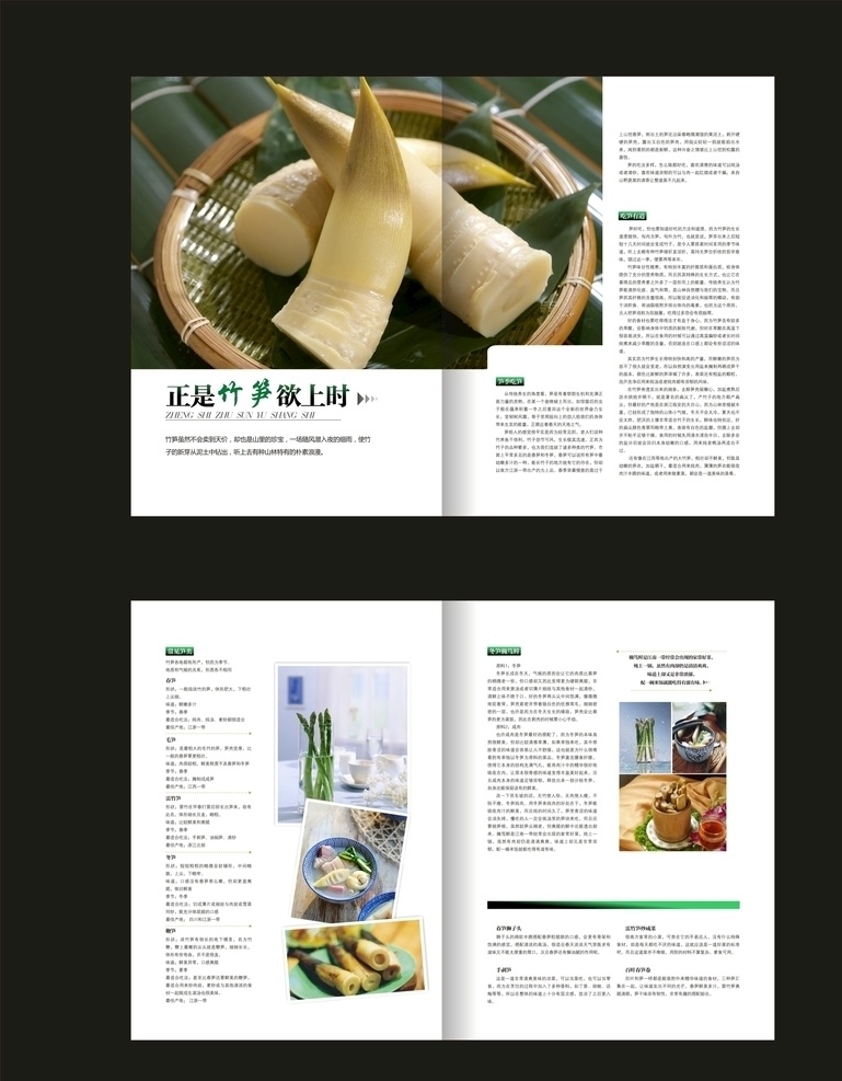 餐饮画册 画册设计 创意画册 广告画册 画册 内页