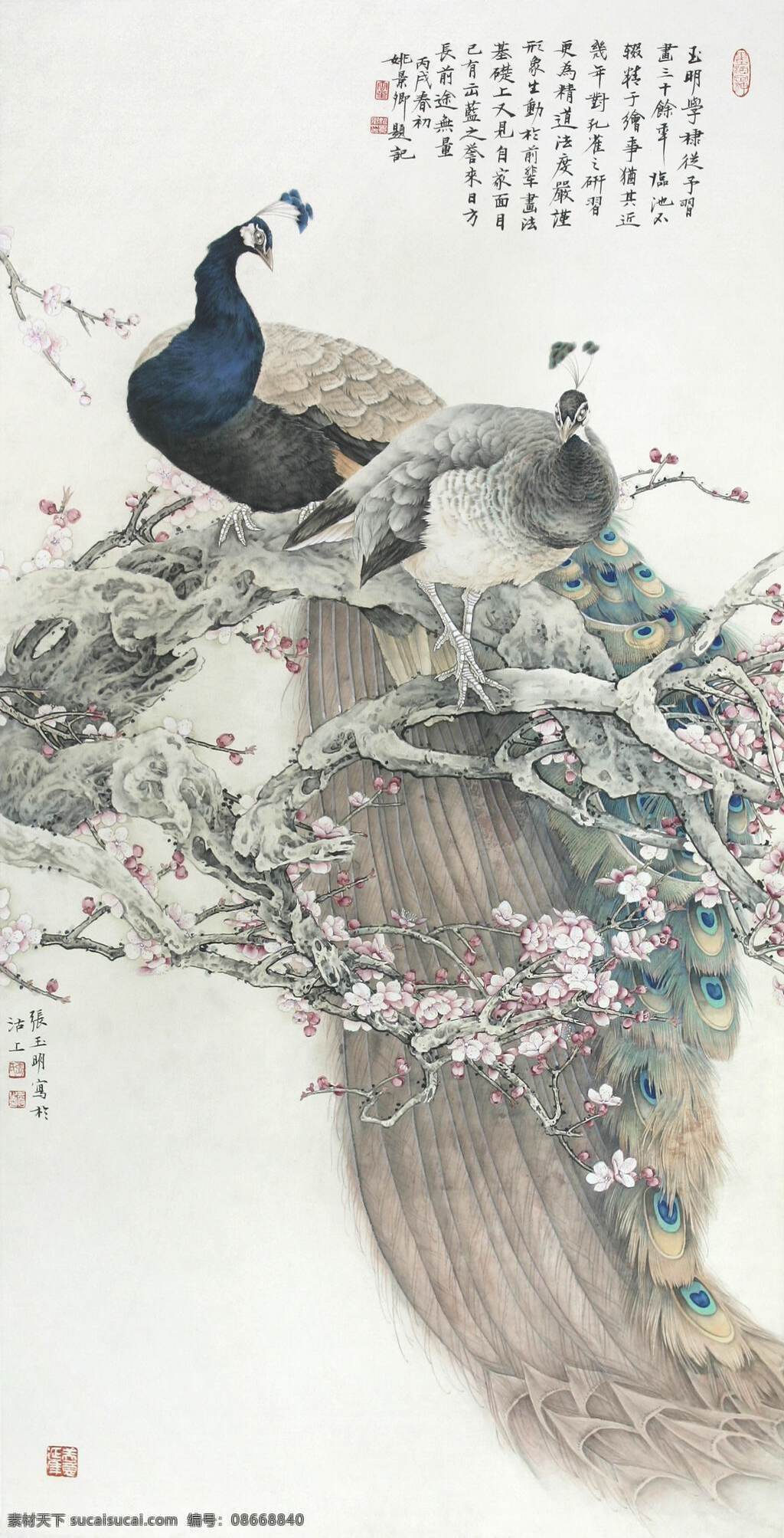 工笔画 绘画书法图片 孔雀 设计图 文化艺术