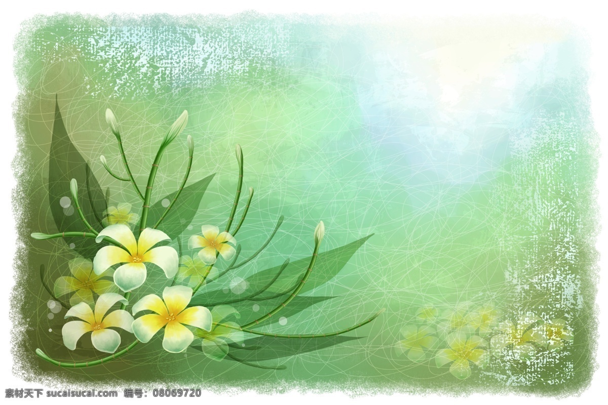 鲜花免费下载 鲜花 渲染背景 300 像素 psd源文件