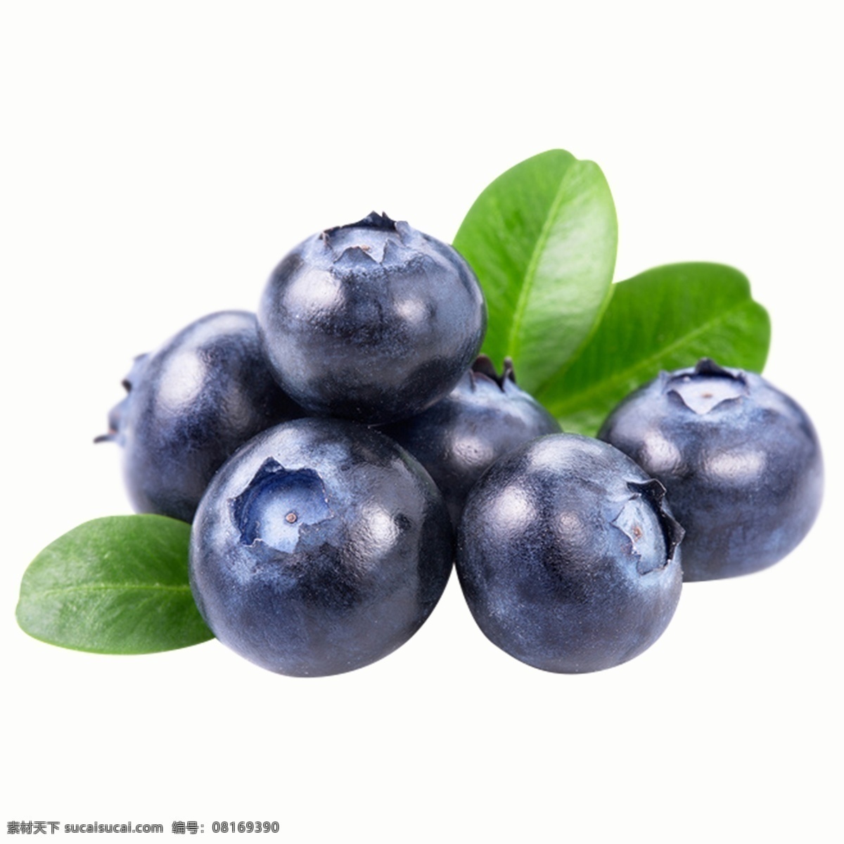 蓝莓png 蓝莓免抠图 水果素材 水果