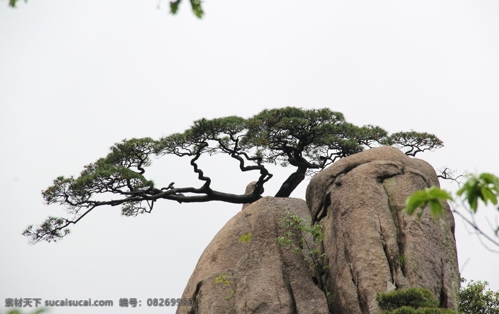 唯美 风景 风光 旅行 自然 安徽 黄山 山 山峰 险峻 云海 黄山云海 黄山风景 黄山景区 旅游摄影 国内旅游