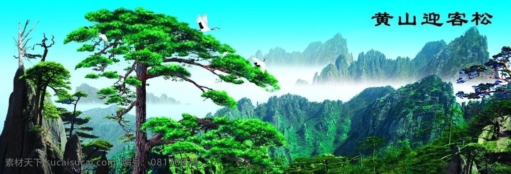 迎客松 自然风景 图 高山 白云 大树 仙鹤 自然 分成 风景 分层 源文件