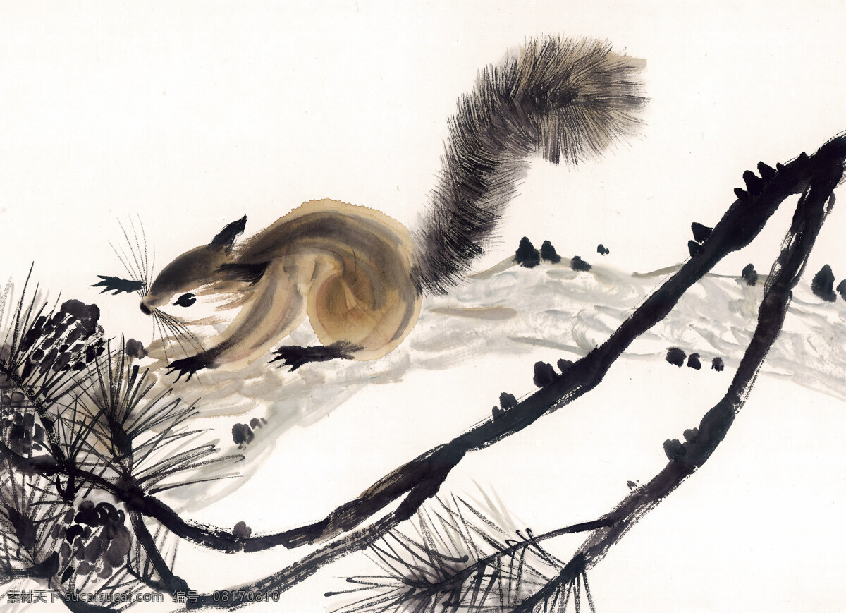 鼠 生肖 写意动物画 国画 设计素材 动物画篇 中国画篇 书画美术 白色